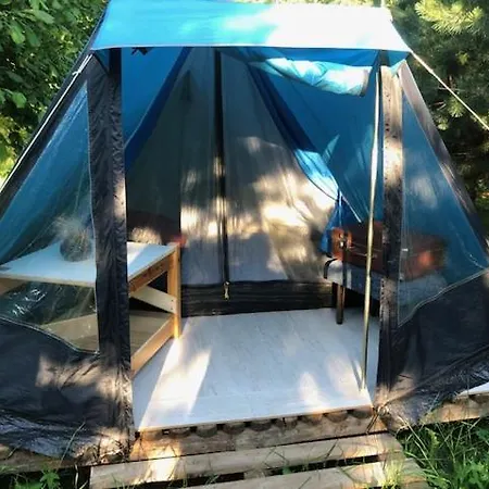 Glamping Under The Pines Luxury tent