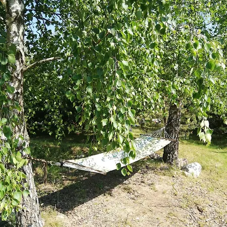 Glamping Under The Pines *