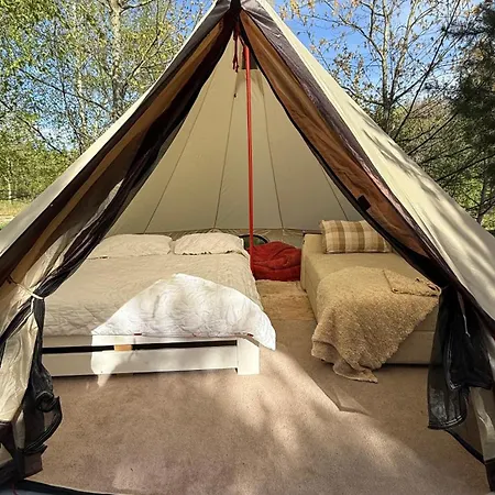 Glamping Under The Pines Vilnius