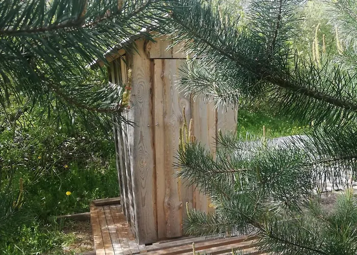 Luxury tent Glamping Under The Pines