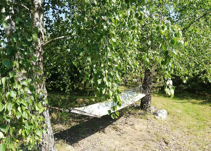 Glamping Under The Pines *