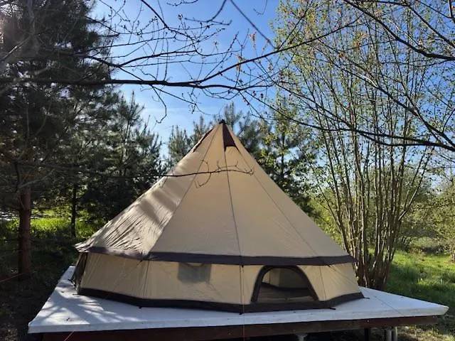 Glamping Under The Pines Lyxtält *